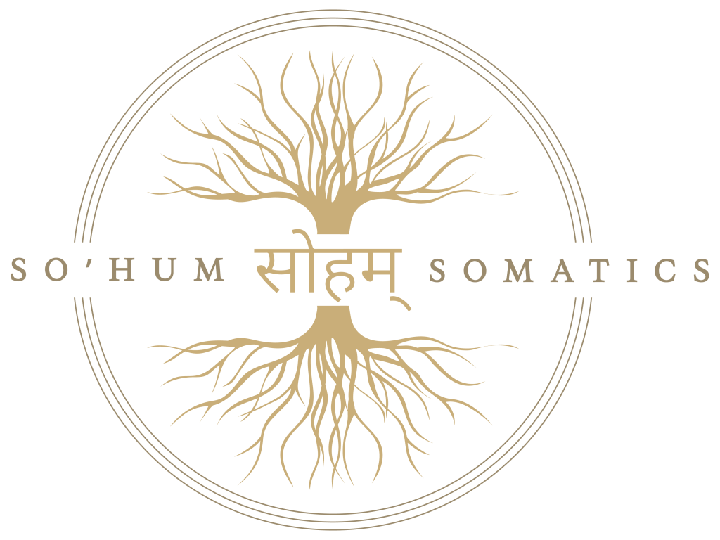 SoHumSomatics Logo FINAL_SS Logo